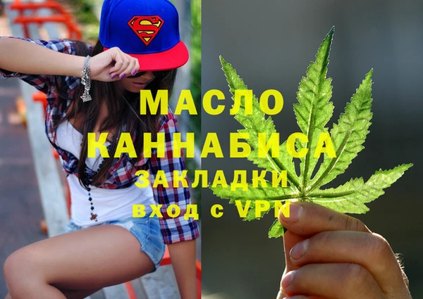 гашик Алексеевка