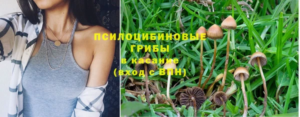 круглые Алзамай