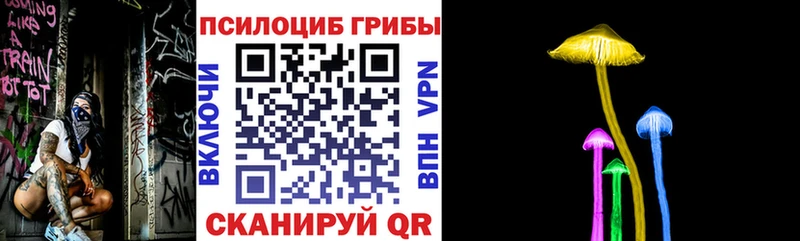 купить наркотик  Артёмовск  Псилоцибиновые грибы GOLDEN TEACHER 